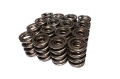 Picture of COMP Cams Valve Springs 1-625in CHR-Sil