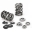 Picture of Supertech Ford Duratec 2-0L-2-3L Beehive Valve Spring Kit
