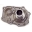 Picture of Omix AX5 Front Bearing Retainer 97-02 Wrangler TJ