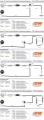 Picture of DeatschWerks 2006+ Hemi X2 Series Pump Module -8AN Feed w- -6AN Return PTFE Plumbing Kit