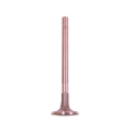 Picture of Omix Exhaust Valve 226Ci 54-64 Jeep CJ