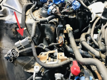 Picture of Rywire 97-01 Honda Prelude Auto Chassis Specific Adapter Send Two Pin Core Connector to Rywire