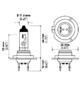 Picture of Hella Halogen H7 Bulb
