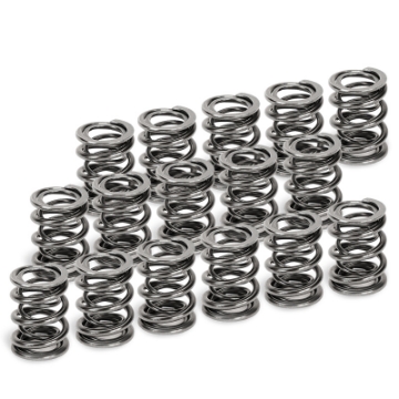 Picture of Supertech Toyota Supra 2JZ-GE-2JZ-GTE Dual Valve Spring - Set of 16