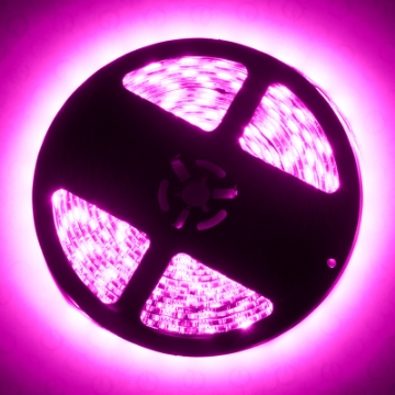 Picture of Oracle Exterior Flex LED Spool - Pink