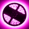 Picture of Oracle Interior Flex LED Spool - Pink