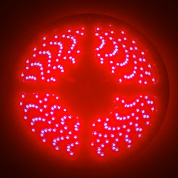 Picture of Oracle Side Emitting LED 12in Strip - Red