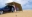 Picture of Rhino-Rack Sunseeker Awning Side Wall - 2-5m x 2-0m