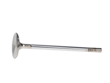 Picture of Manley Ford 4-6L DOHC 4 Valve Triple Groove 37mm Race Master Intake Valves - Single