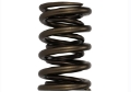 Picture of Ford Racing Replacement Hydraulic Roller Valve Spring - Single For M-6049-SCJA