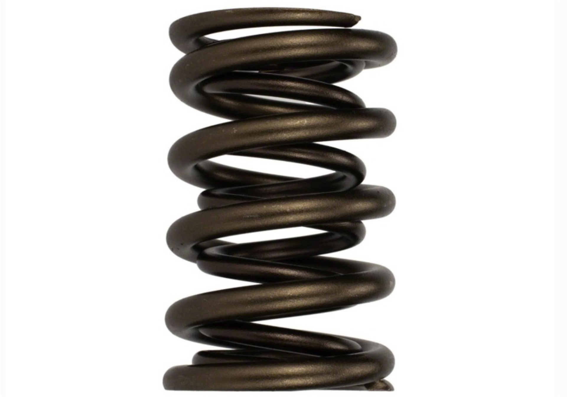 Picture of Ford Racing Replacement Hydraulic Roller Valve Spring - Single For M-6049-SCJA