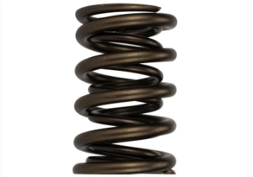 Picture of Ford Racing Replacement Hydraulic Roller Valve Spring - Single For M-6049-SCJA