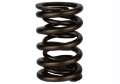 Picture of Ford Racing Replacement Hydraulic Roller Valve Spring - Single For M-6049-SCJA