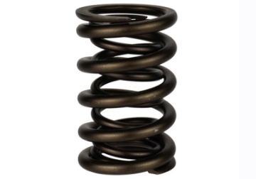 Picture of Ford Racing Replacement Hydraulic Roller Valve Spring - Single For M-6049-SCJA