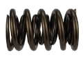 Picture of Ford Racing Replacement Hydraulic Roller Valve Spring - Single For M-6049-SCJA