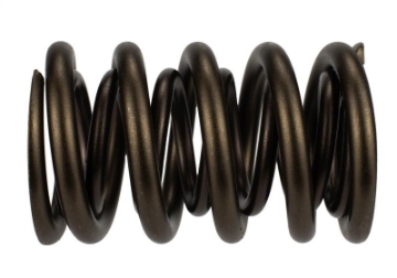 Picture of Ford Racing Replacement Hydraulic Roller Valve Spring - Single For M-6049-SCJA