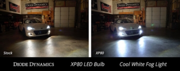 Picture of Diode Dynamics H8 XP80 LED - Cool - White Pair