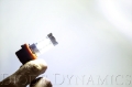 Picture of Diode Dynamics H11 XP80 LED - Cool - White Pair