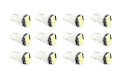 Picture of Diode Dynamics 194 LED Bulb SMD2 LED Warm - White Set of 12