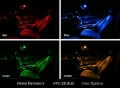 Picture of Diode Dynamics 194 LED Bulb HP3 LED Natural - White Set of 12