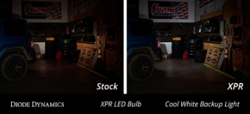 Picture of Diode Dynamics 3157 XPR LED Bulb - Cool - White Pair