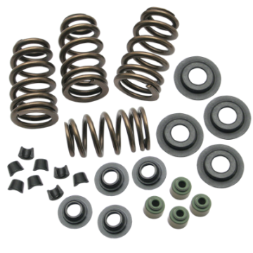 Picture of S&S Cycle 04-19 XL Valve Spring Kit - -650in