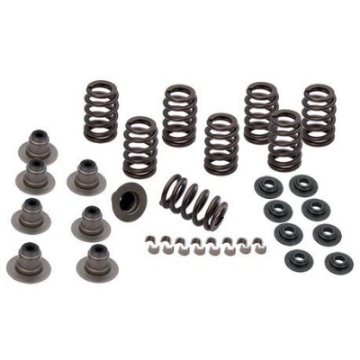 Picture of S&S Cycle 2017+ M8 Models Valve Spring Kit - -605in