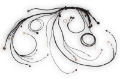 Picture of Haltech NEXUS Rebel LS Terminated Harness for ECU