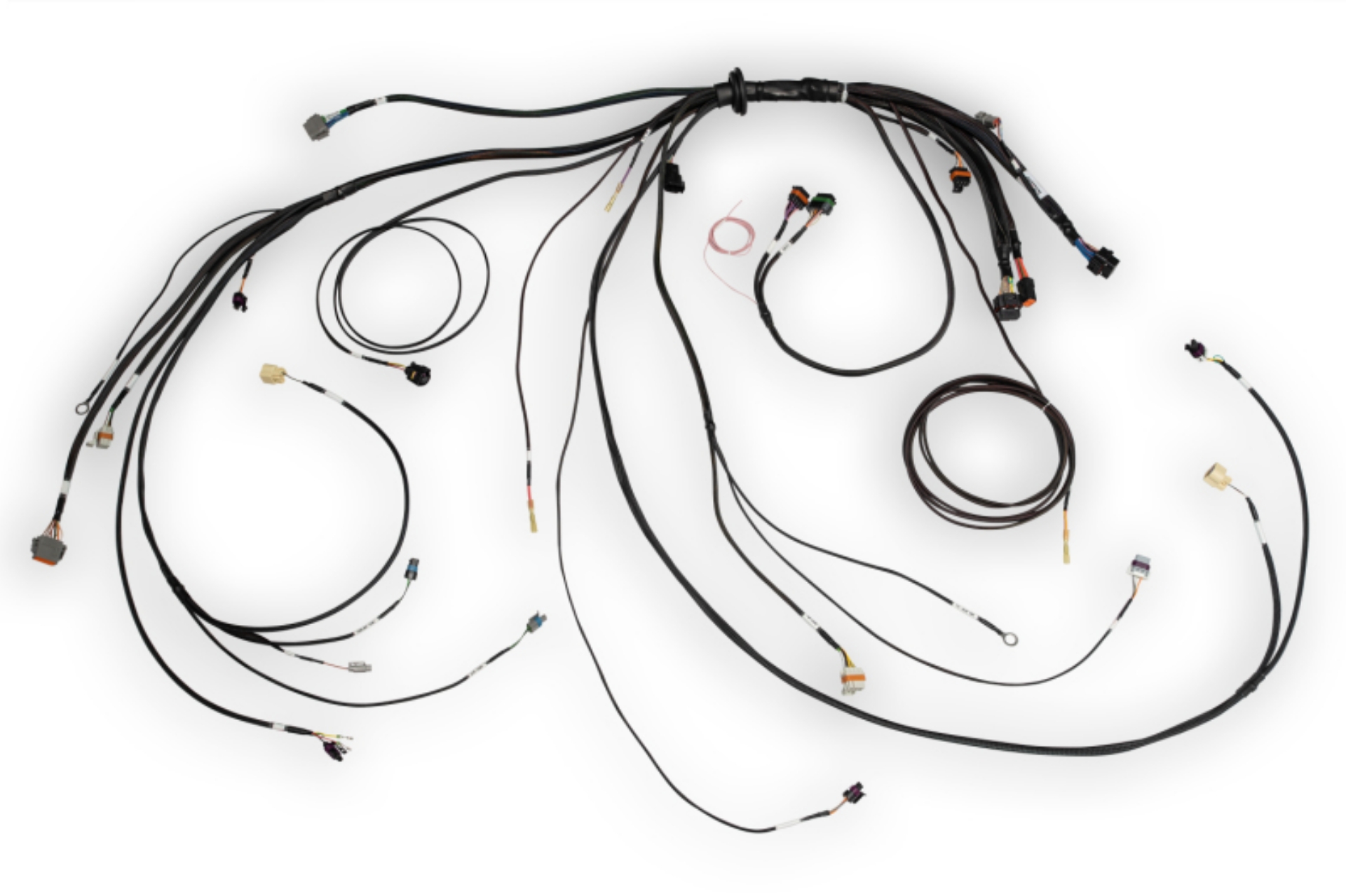 Picture of Haltech NEXUS Rebel LS Terminated Harness for ECU
