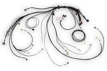 Picture of Haltech NEXUS Rebel LS Terminated Harness for ECU