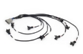 Picture of Haltech NEXUS Rebel LS EV1 Injector Sub-Harness