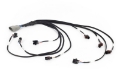 Picture of Haltech NEXUS Rebel LS Multec 2 Injector Sub-Harness