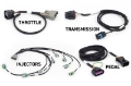 Picture of Haltech NEXUS Rebel LS Gen IV 6-Pin DBW Throttle-EV6 Injectors-Manual Transmission