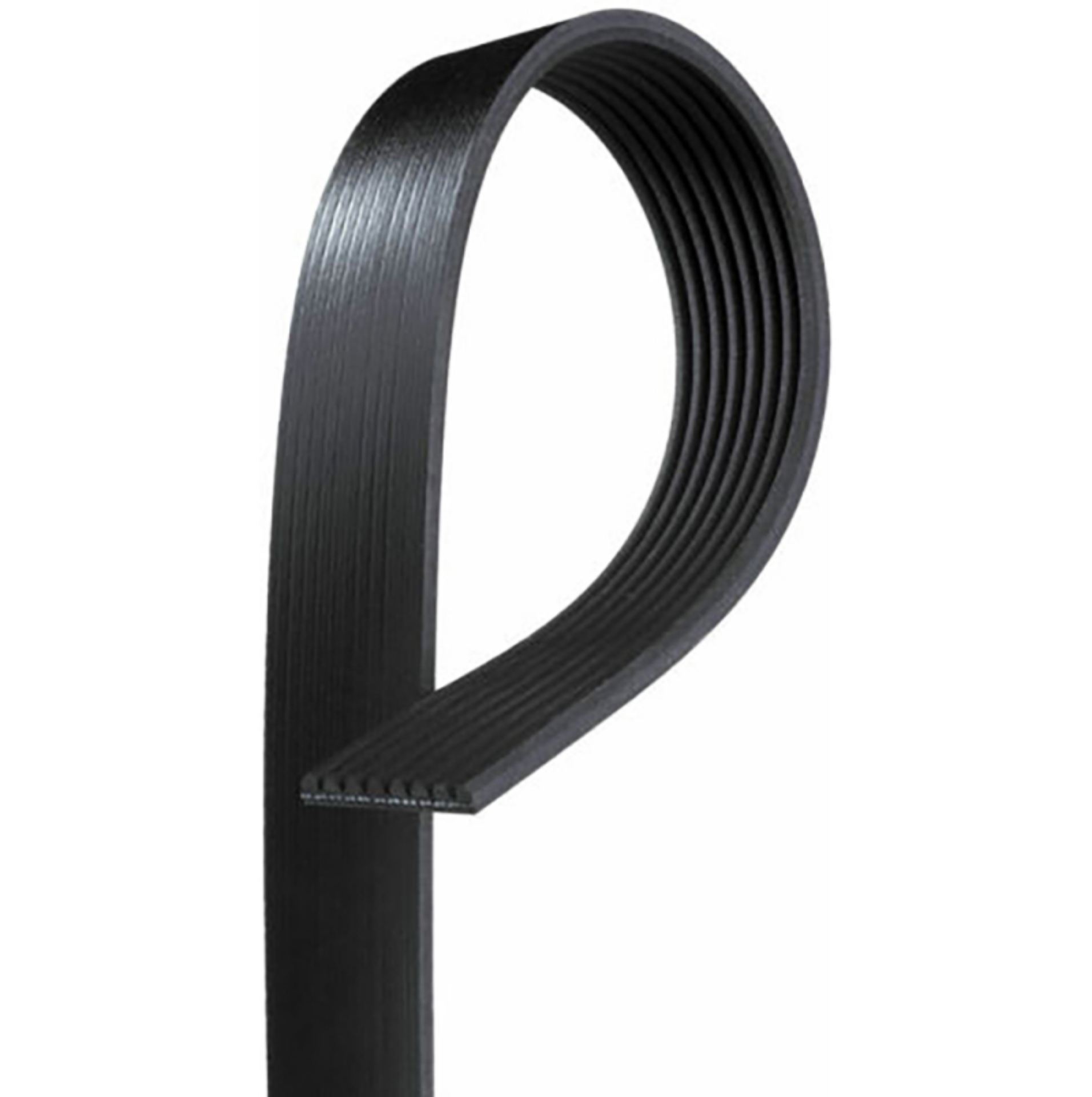 Picture of VMP Performance 2020+ Ford Shelby GT500 Belt w- 2-7-2-8in Upper Pulley