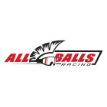 Picture for manufacturer All Balls Racing