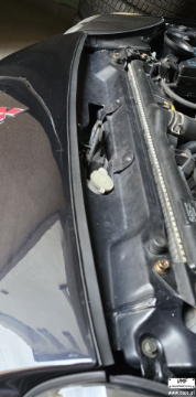 Picture of MB935458 Front Hood to Bumper Seal Quality Reproduction