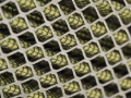 Picture of aFe Magnum FLOW Custom Air Filter 18-1/8 IN L x 7-1/4 IN W x 5-1/8 IN H w/ Expanded Metal