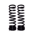 Picture of B12 (Special) - Coil Spring Set
