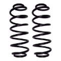 Picture of B12 (Special) - Coil Spring Set