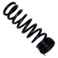 Picture of B12 (Special) - Coil Spring Set