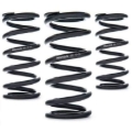 Picture of AST Linear Race Springs - 180mm Length x 220 N/mm Rate x 61mm ID - Single
