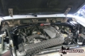 Picture of Coilover Engine Cage - Ford