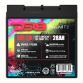 Picture of DS18 1000 Watts 28 AH Infinite AGM Power Cell Battery