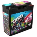 Picture of DS18 750 Watts 18 AH Infinite AGM Power Cell Battery
