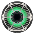 Picture of DS18 Hybrid Marine Speaker w/ Driver And RGB LEDs 10in 2-Way 450 Watts RMS 4 ohm Black w/ Cover