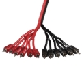 Picture of DS18 Level 2 RCA Wire Distribution Wire 2 Male to 12 Male
