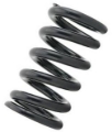 Picture of Tein Coilover Spring (Two Springs)