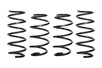 Picture of Pro-Kit Lowering Springs