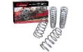 Picture of Eibach Pro-Lift Springs