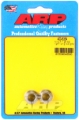 Picture of ARP M10 X 1.25 SS 12mm socket 12pt Nut Kit